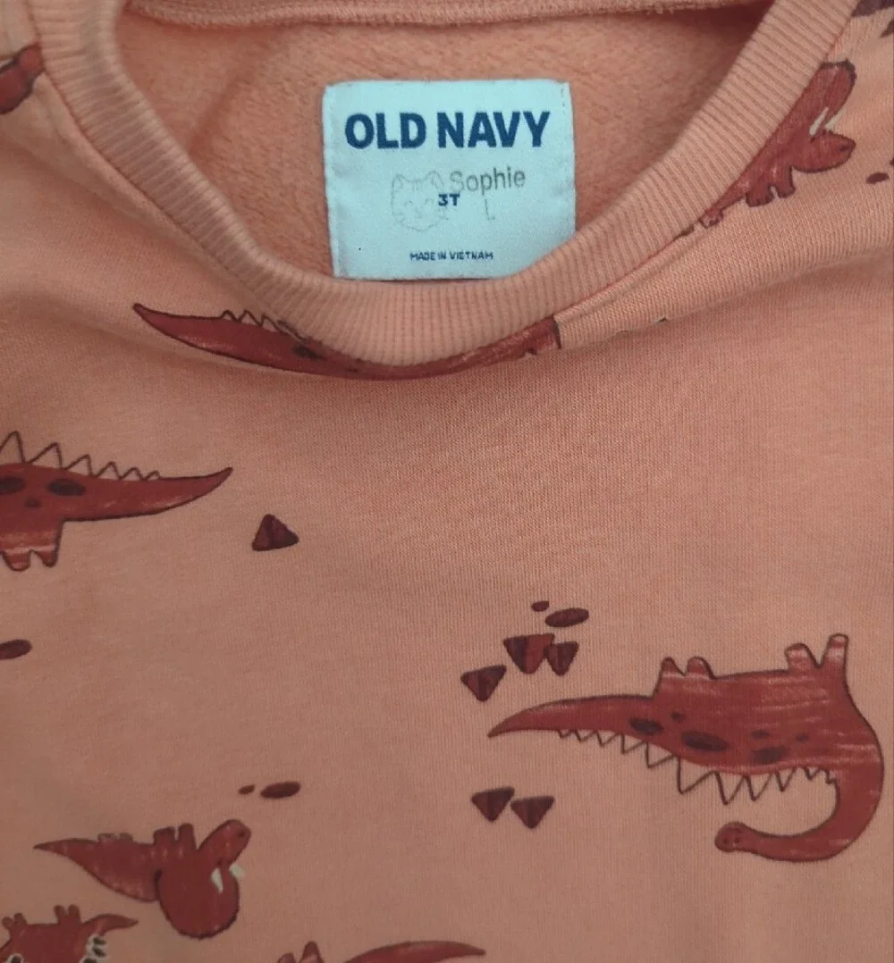 Old Navy Dinosaur Print Crewneck Sweatshirt Unisex 3T